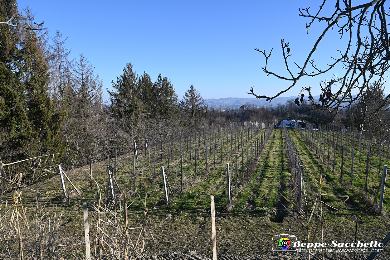 VBS_0874 - Corneliano d'Alba.jpg